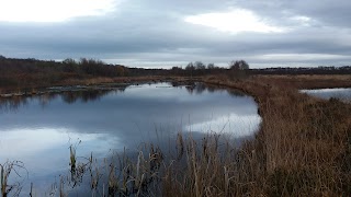 Risley Moss