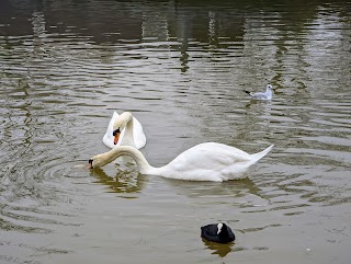 Lee Valley Regional Park Authority