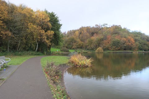 Central Forest Park