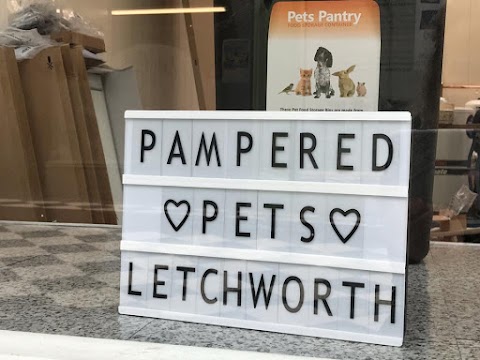 Pampered Pets Letchworth, Dog And Cat Grooming