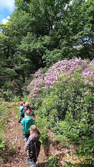 Into the Ark Forest School