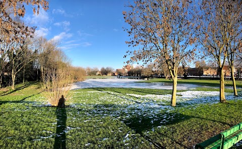 Selby Wildlife Pond