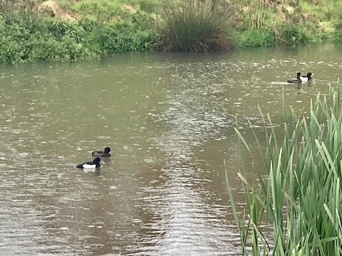 Balancing Pond