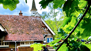 Ampfield CofE Primary School