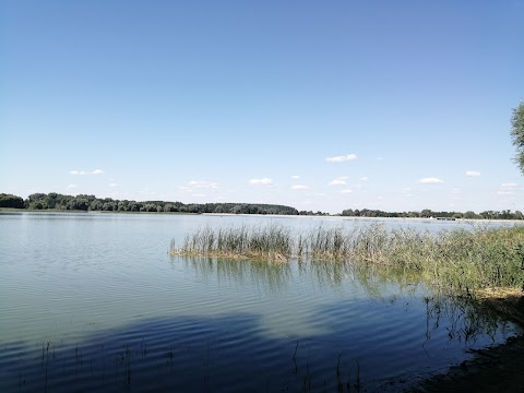 Vvedenie camp"Територія вільної творчості"