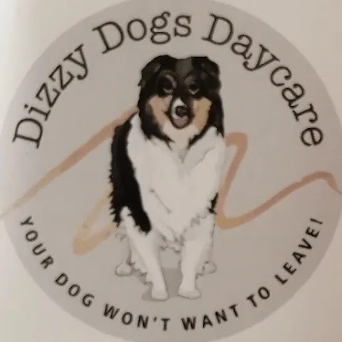 Dizzy Dogs Daycare