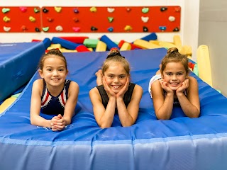 The Academy of Gymnastics