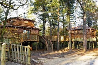 The Treehouses