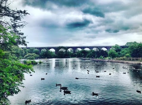 Reddish Vale Country Park