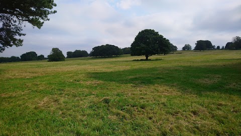 Bretton Country Park Kennels and Cattery