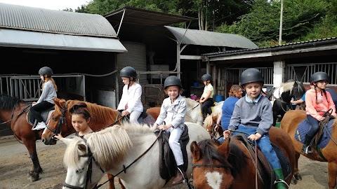 Edinburgh & Lasswade Riding Centre