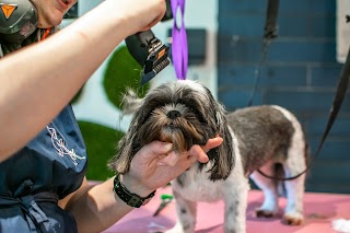 The Hound Ville Brighouse - Luxury Dog Grooming Spa