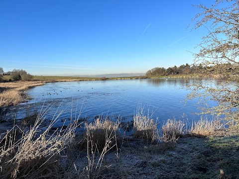 Dams to Darnley Country Park