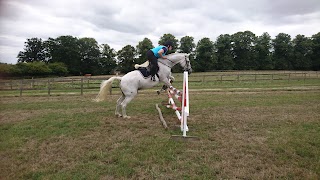 Wheats Farm Boarding Kennels and Livery Yard