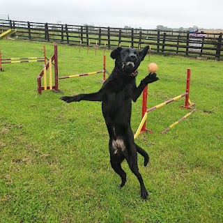 Burnley Pet Boarding Centre