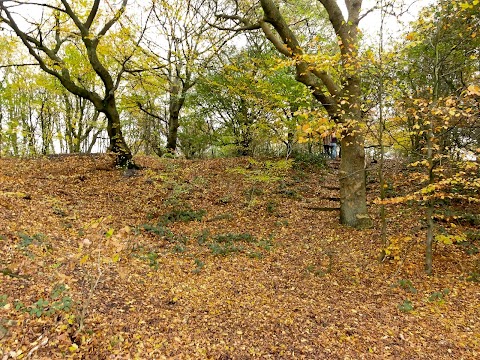 Apedale Community Country Park