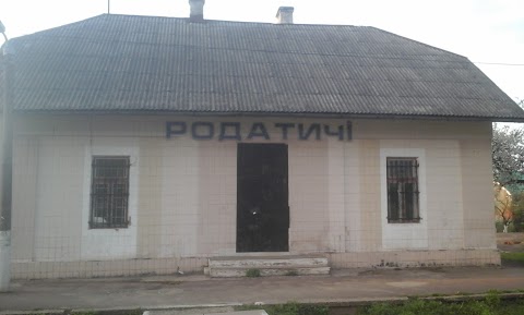 Родатичі