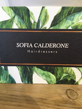 SofiaCalderone Hair