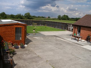 Just Cats Boarding Cattery