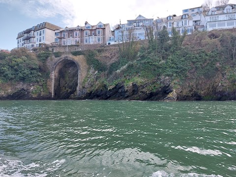 Looe Sea Safari