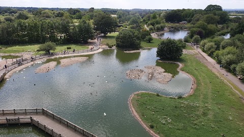 WWT Slimbridge