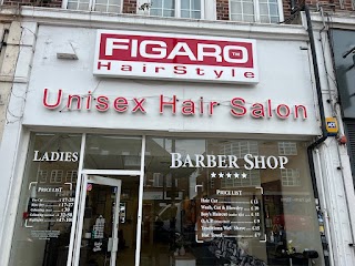 Figaro HairStyle