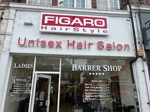 Figaro HairStyle