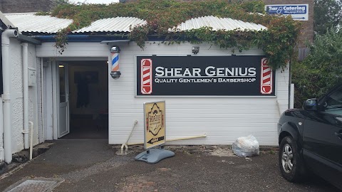 Shear Genius