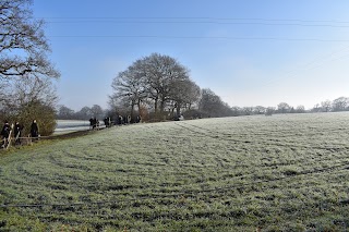 The North Surrey Shooting School - Clay Shooting