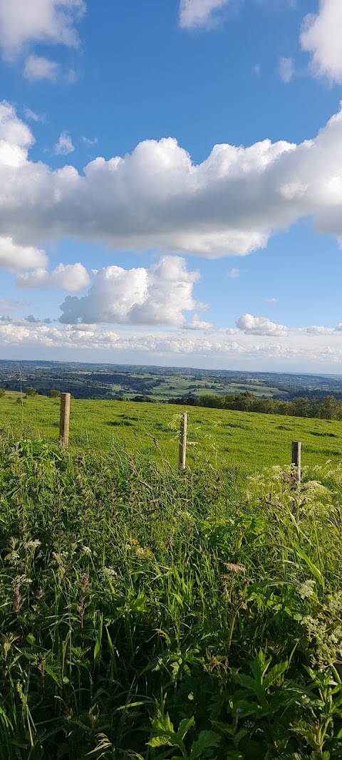 Rolling hills view