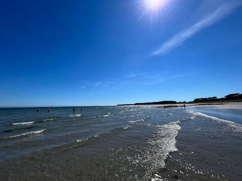 Ballywalter Beach & Park