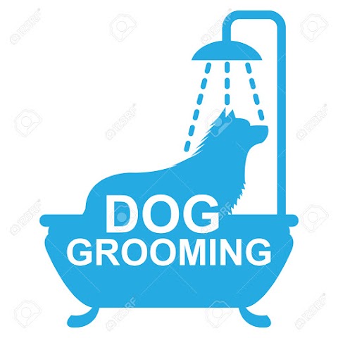 Merrylegs Dog Grooming in Hethersett