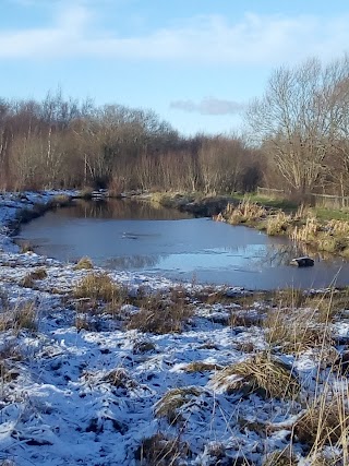 Holmhills Wood Community Park