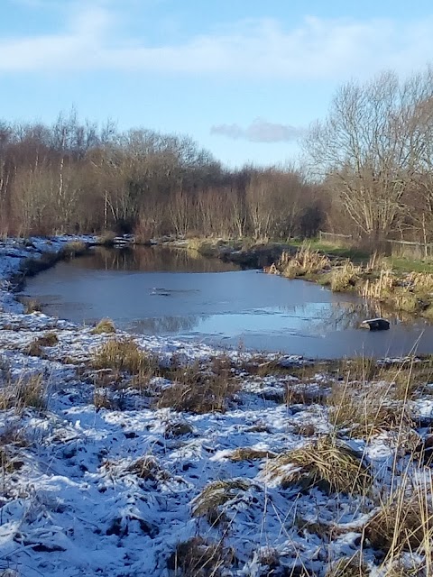 Holmhills Wood Community Park