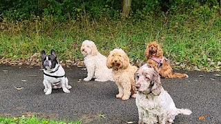 Walking the Woofs