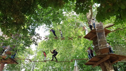 Go Ape Battersea