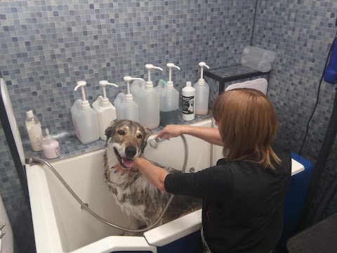 Doggy Style Mobile Grooming