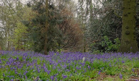 Hodsock Priory