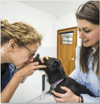 Seadown Veterinary Group