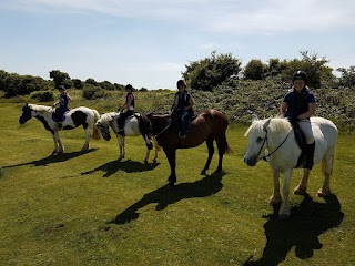 Happy Valley Equestrian Centre