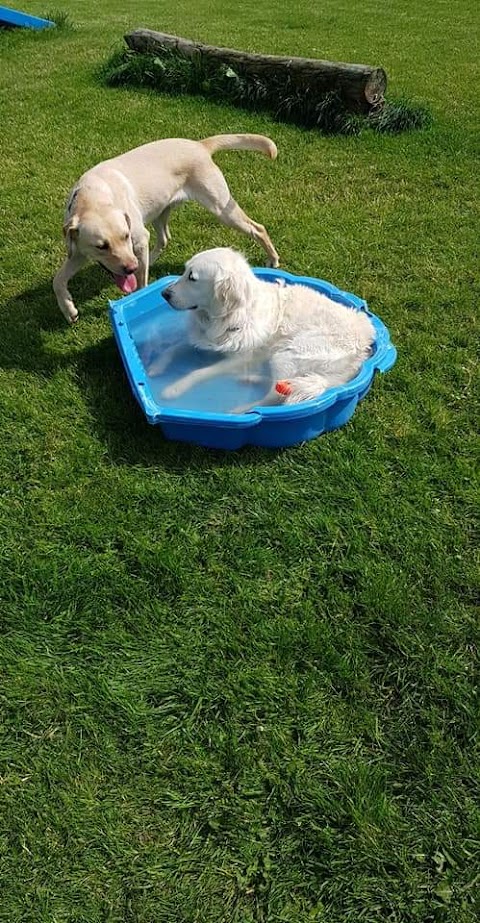 Fern Boarding Kennels