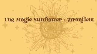 The Magic Sunflower