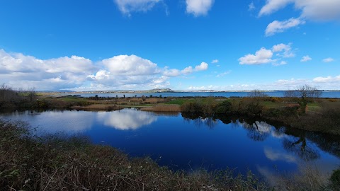 WWT Castle Espie