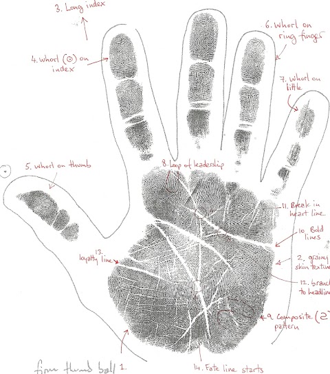 Lawrence Rook, Chirology - Hand Analysis