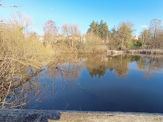 Harcourt Avenue Open Space