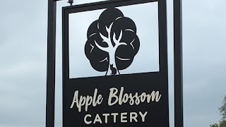 Apple Blossom Cattery