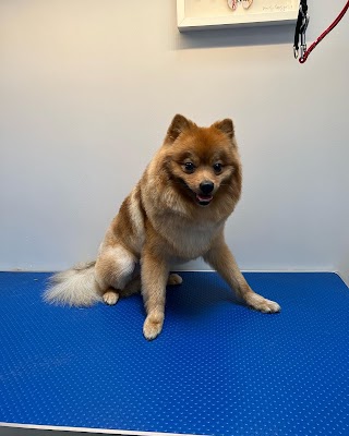 4 Paws Dog Grooming