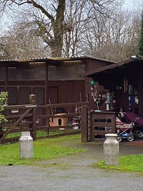 Beseeka Boarding Kennels