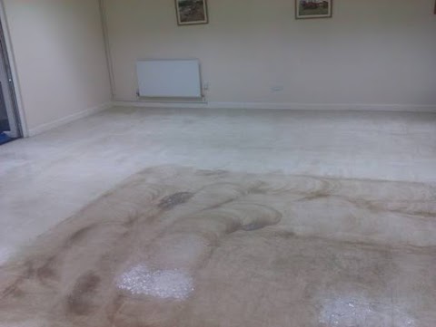 Swansea Carpet Cleaning