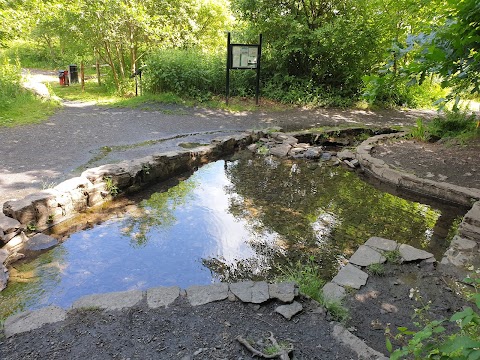 Craig Gwladys Country Park